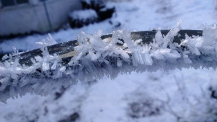 Froststjärnor