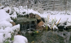 Vinterfall