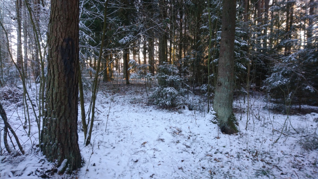 kottar och pinnar