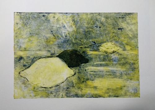 Citronfrossa 17x22 400kr 5